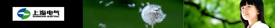 上海電氣集團(tuán)